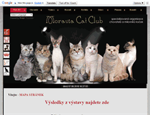 Tablet Screenshot of moraviacatclub.eu